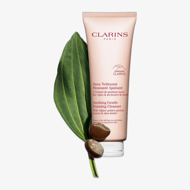 Clarins Soothing Gentle Foaming Cleanser