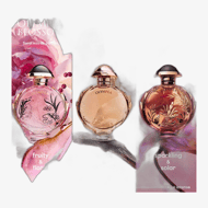 Rabanne Olympéa Solar EDP Intense
