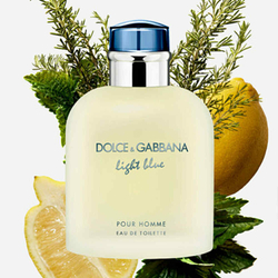 Dolce & Gabbana Light Blue pour Homme EDT 75 ml