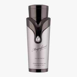 Armaf Magnificent Pour Homme EDP