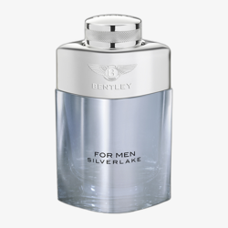Bentley For Men Silverlake EDP - unpacked