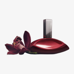 Calvin Klein My Euphoria EDP