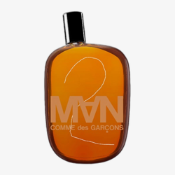COMME des GARCONS Comme des Garcons 2 Man EDT