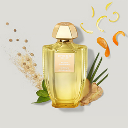 CREED Acqua Originale Citrus Bigarade EDP
