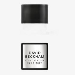 David Beckham Follow Your Instinct EDT