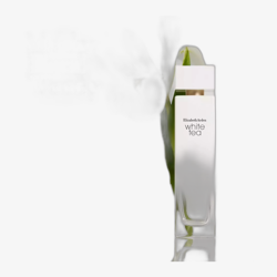 Elizabeth Arden White Tea EDT 100 ml + BL 400 ml