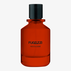 Fugazzi Nocologne EP