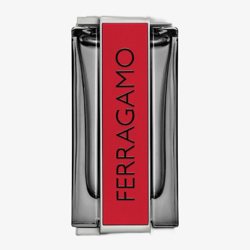 Ferragamo Ferragamo Red Leather EDP 100 ml + EDP MINI 10 ml + SG for Body & Hair 100 ml