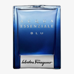 Salvatore Ferragamo Acqua Essenziale Blu EDT 100 ml