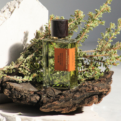 Goldfield & Banks Wood Infusion Parfum