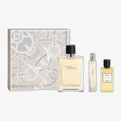 Hermès Terre D'Hermès EDT 100 ml + EDT 15 ml + SG for Body & Hair 40 ml