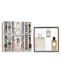Hermès Terre D'Hermès Eau Givrée EDP 100 ml + EDP MINI 12.5 ml + SG 80 ml