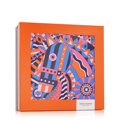 Hermès Terre D'Hermès EDT 100 ml + EDT 12.5 ml + AS 40 ml