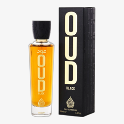 House of Perfumes Oud Black EDP