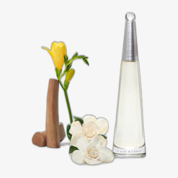 Issey Miyake L'Eau d'Issey EDP