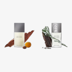 Issey Miyake L'Eau d'Issey Pour Homme Perfumed Deostick