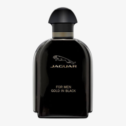 Jaguar For Men Gold in Black Eau de Toilette