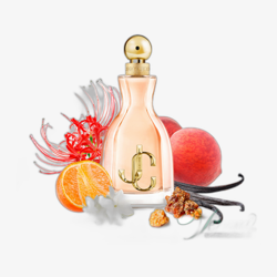 Jimmy Choo Jimmy Choo EDP 60 ml + BL 100 ml