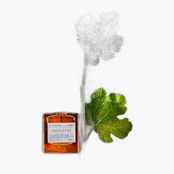Korres Avgoustos EDT