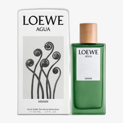 Loewe Agua Miami Eau De Toilette 100 ml