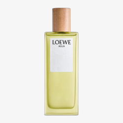 Loewe Agua de Loewe EDT