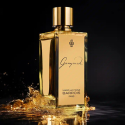 Marc-Antoine Barrois Ganymede EDP