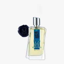 Morph Antigua Bay EDP Intense