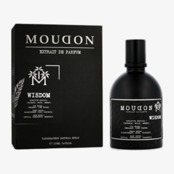 Moudon Vaillant EP