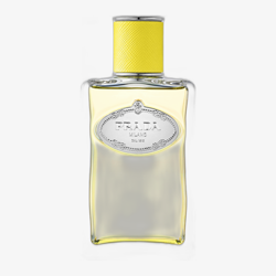 Prada Infusion D'Ylang EDP