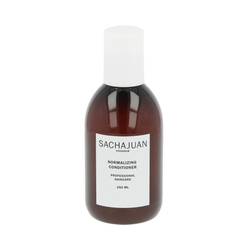 Sachajuan Normalizing Conditioner