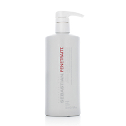 Sebastian Professional Penetraitt Hair Mask