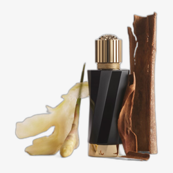 Versace Atelier Versace Gingembre Pétillant EDP