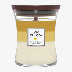 WoodWick Trilogy Medium Hourglass Candles Scented Candle Fruits of Summer