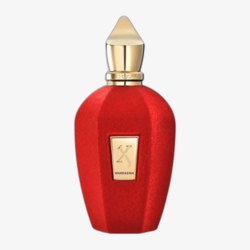 Xerjoff V Wardasina EDP