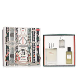 Hermès Terre D'Hermès Eau Givrée EDP 100 ml + EDP MINI 12.5 ml + SG 80 ml