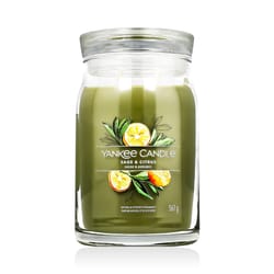 Yankee Candle Signature Scented candle Sage & Citrus 567 g