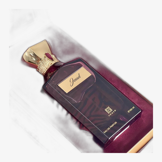 Ahmed Al Maghribi Joud EDP