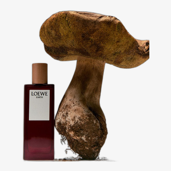 Loewe Earth EDP unisex parfumuoto vandens flakono nuotrauka