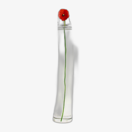 Oilily EDP Eau de Parfum product image, a unisex fragrance