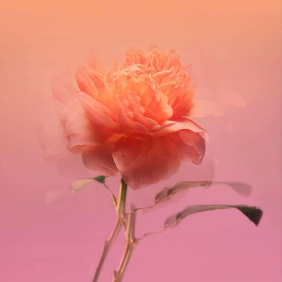 BDK Parfums Impadia EDP women’s fragrance product image