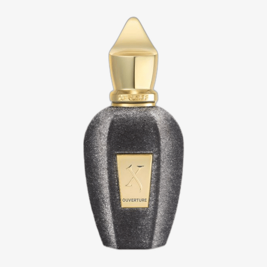 Avasta Xerjoff V Ouverture EDP