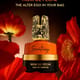 Armaf Scentasy Noir de Pêche EDP