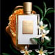 Женская парфюмерная вода Kilian Paris Can't Stop Loving You EDP