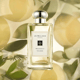 Jo Malone London Grapefruit Cologne