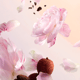 Louis Vuitton Attrape-Reves EDP moteriškų kvepalų produkto nuotrauka